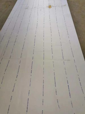 UNS N10276 تخته آلیاژ Hastelloy C-276