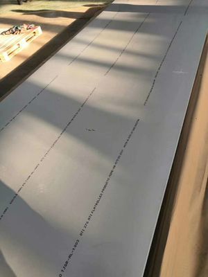 UNS N10276 تخته آلیاژ Hastelloy C-276