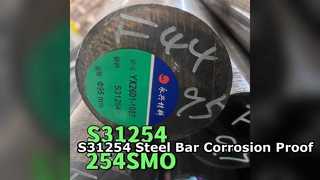 میله فولادی ضد زنگ S31254 SMO254 300 میلی متر